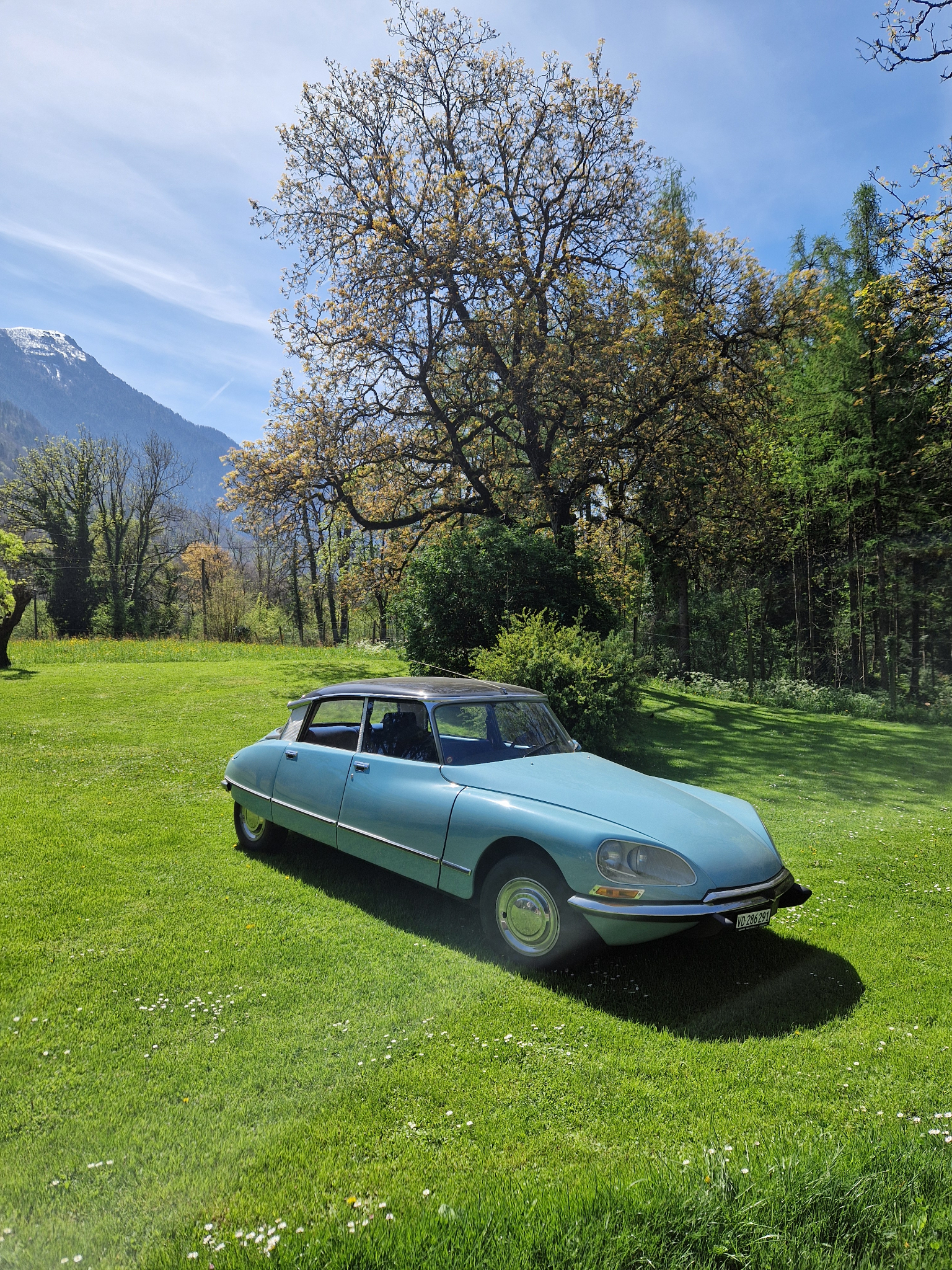 Citroën DS bleue de collection dans un jardin avec montagnes en arrière-plan